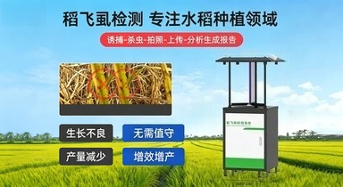 虫情���报�?用户手册